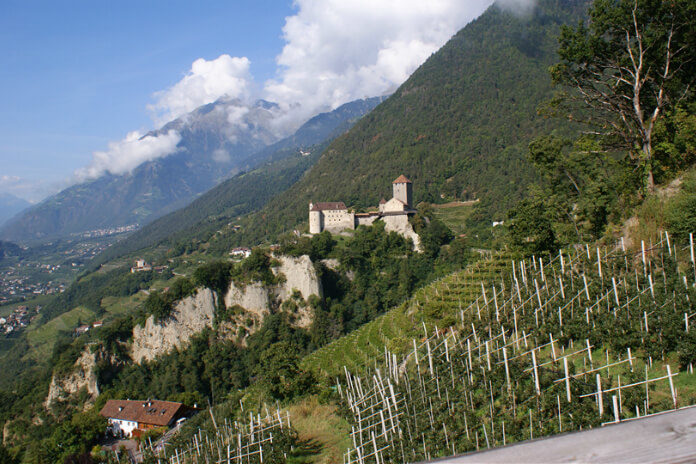 Pohled na hrad Tirol a okolní vinice